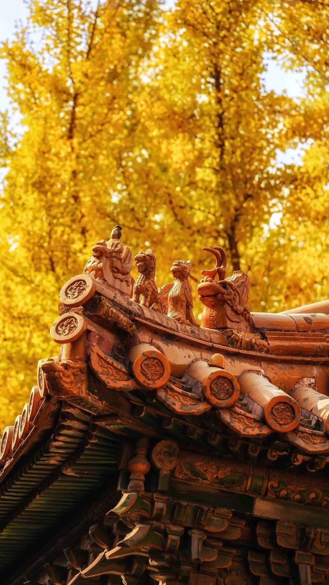East Sacred Hotel--very Near Tiananmen Square ,the Forbidden City,the Temple Of Heaven ,3 Minutes' Walk To Wangfujing Subway ,located In The Center Of Beijing, Many Shopping Malls Around,newly Renovated Hotel-able To Receive Foreign Guests 酒店 5*